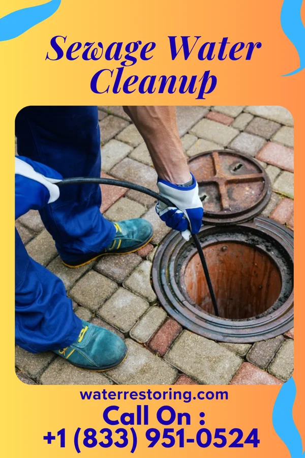 Sewage Water Cleanup in Plummer, ID